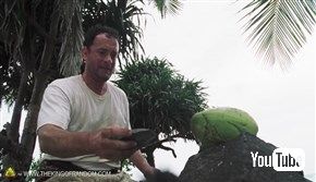  無人島に漂着してもあんしん！　ヤシの実を道具を使わずに割る方法