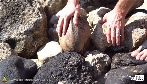  無人島に漂着してもあんしん！　ヤシの実を道具を使わずに割る方法
