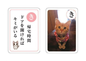 ねこのきもチー