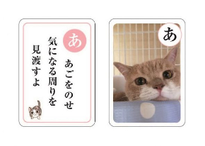 ねこのきもチー