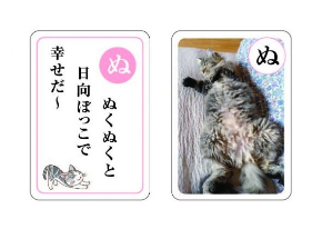 ねこのきもチー