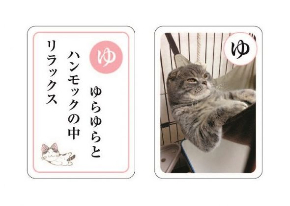 ねこのきもチー