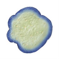 漬物マグネットのカプセルトイが発売