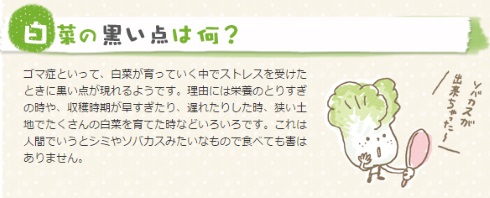 白菜 そばかす 斑点