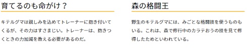 ポケットモンスター サン ムーン キテルグマ