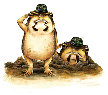 カエル図鑑 Croak! 世界の不思議なカエル 黒川宇吉 Twitter 書籍化