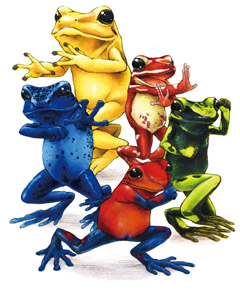 カエル図鑑 Croak! 世界の不思議なカエル 黒川宇吉 Twitter 書籍化