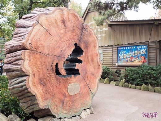 キャンプ・ウッドチャック