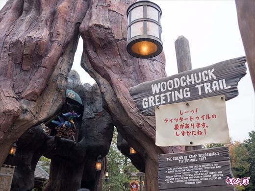ウッドチャック・グリーティングトレイル