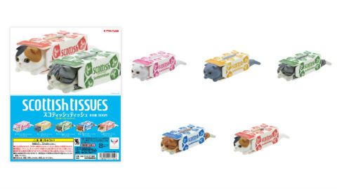 スコティッシュティッシュ