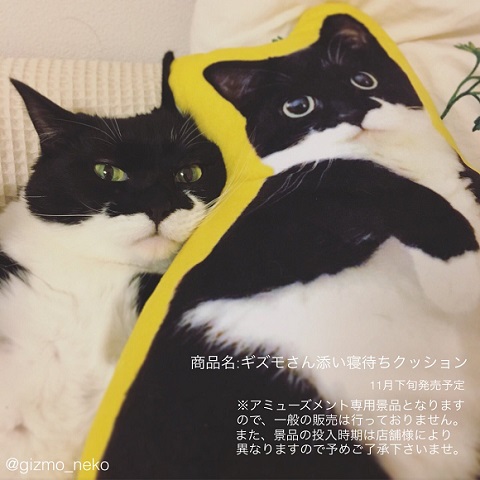 ギズモ