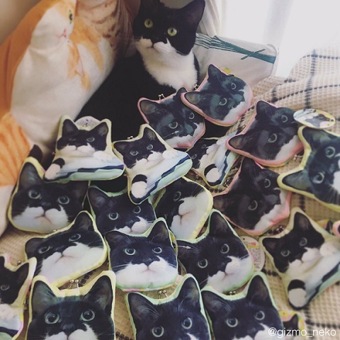 ギズモ