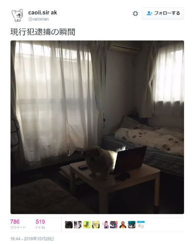 現行犯タイホ