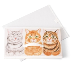 香箱座り猫の収納ボックス