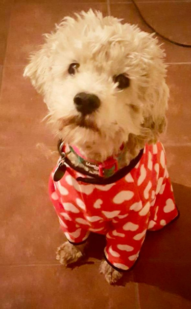 かわいい服も着せてもらいました