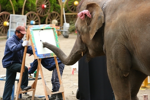 ゆめ花LINEスタンプ