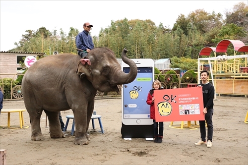 ゆめ花LINEスタンプ