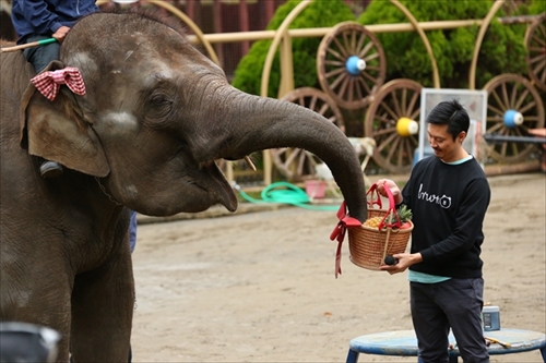 ゆめ花LINEスタンプ