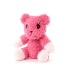 PostPet VR ポスペ アプリ ペットワークス ペット モモ クラウドファンディング