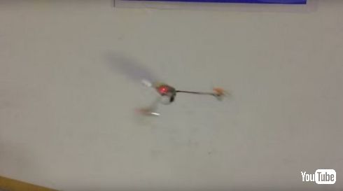 カエデドローン飛ぶ