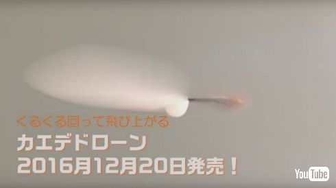 カエデドローン紹介