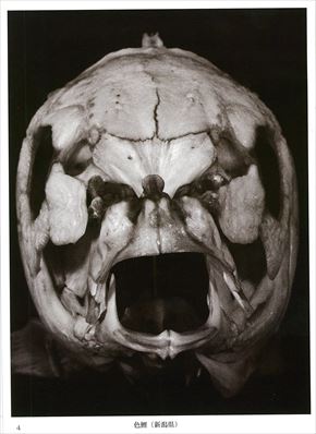 同人誌「魚骨 UO BONE」