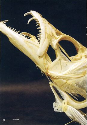 同人誌「魚骨 UO BONE」
