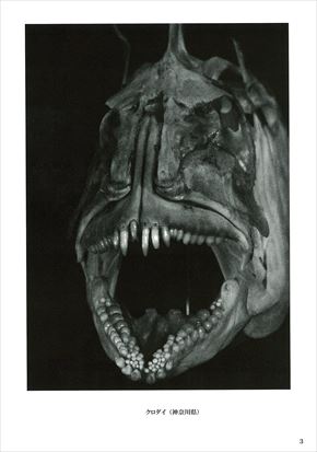 同人誌「魚骨 UO BONE」