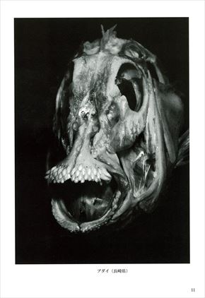 同人誌「魚骨 UO BONE」