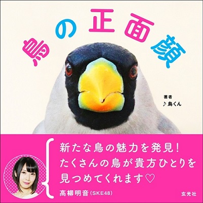 鳥の正面顔