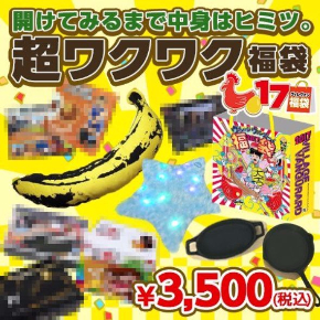 ヴィレッジヴァンガード 福袋 ヴィレヴァン 通販 2017