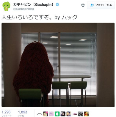 ムックの背中