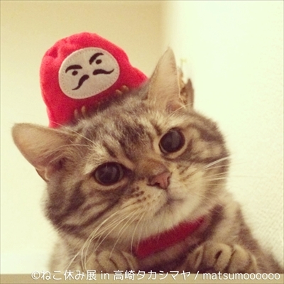 ねこ休み展　高崎