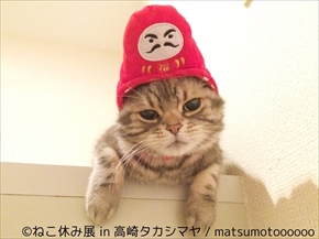 ねこ休み展　高崎