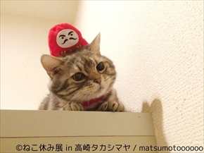 ねこ休み展　高崎