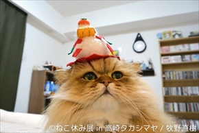 ねこ休み展　高崎