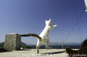 ねこ休み展　高崎