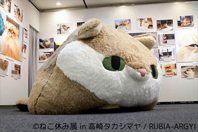 ねこ休み展　高崎