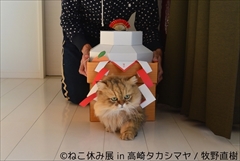 ねこ休み展　高崎