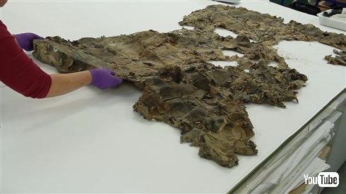 17世紀の地図がスコットランドの煙突から発見される