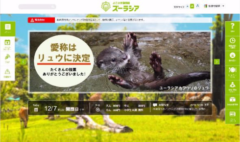 東山 動植物園 鳥インフルエンザ コクチョウ 名古屋 横浜