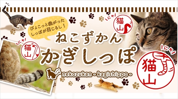 ねこずかん　かぎしっぽ