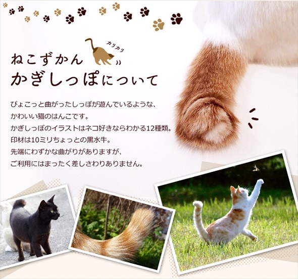 ねこずかん　かぎしっぽ