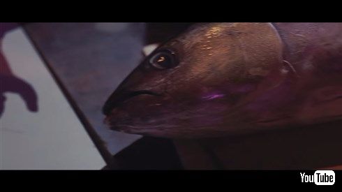 ハウスミュージックとマグロの運命的な出会い 「マグロハウス」が今年も開催！