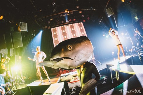 ハウスミュージックとマグロの運命的な出会い 「マグロハウス」が今年も開催！
