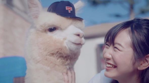 郵便 ゆうパック CM パロディ パカまじめ アルパカ