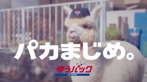 松本人志　A4クリアファイル　日本郵便ゆうパック Yahoo!オークション - 松本人志 クリアファイル ゆうパック 郵便