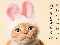 ネコとウサギがフォーリンラブ ねこのかぶりものガチャ