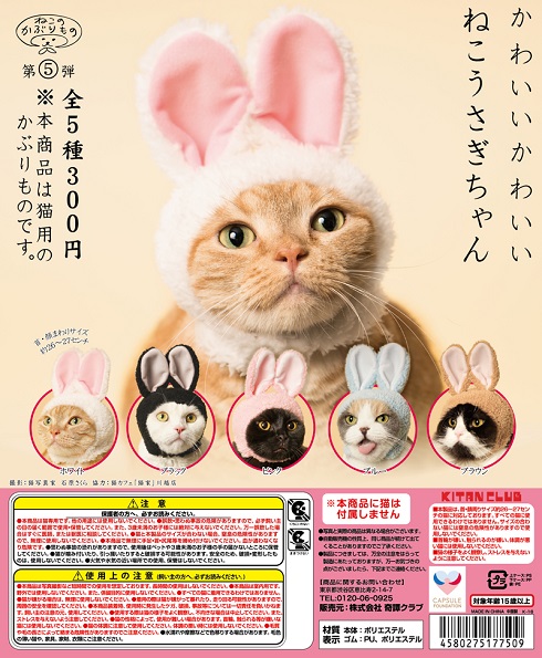 うさぎ ねこ うさぎ ?media_id=3547939144485276267