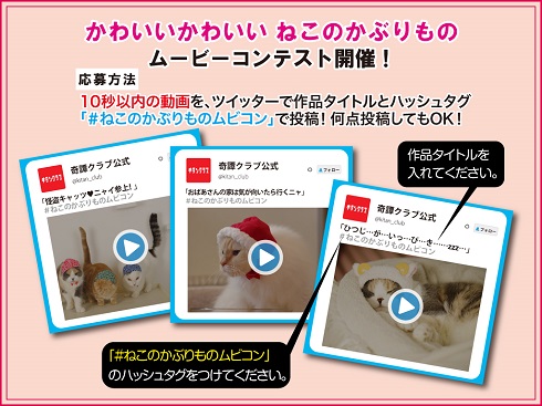 ねこうさぎムビコン